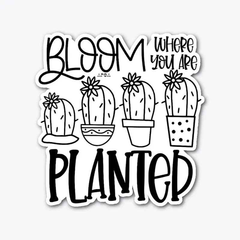 Bloom Where You Are Planted Collection