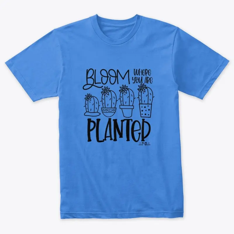 Bloom Where You Are Planted Collection